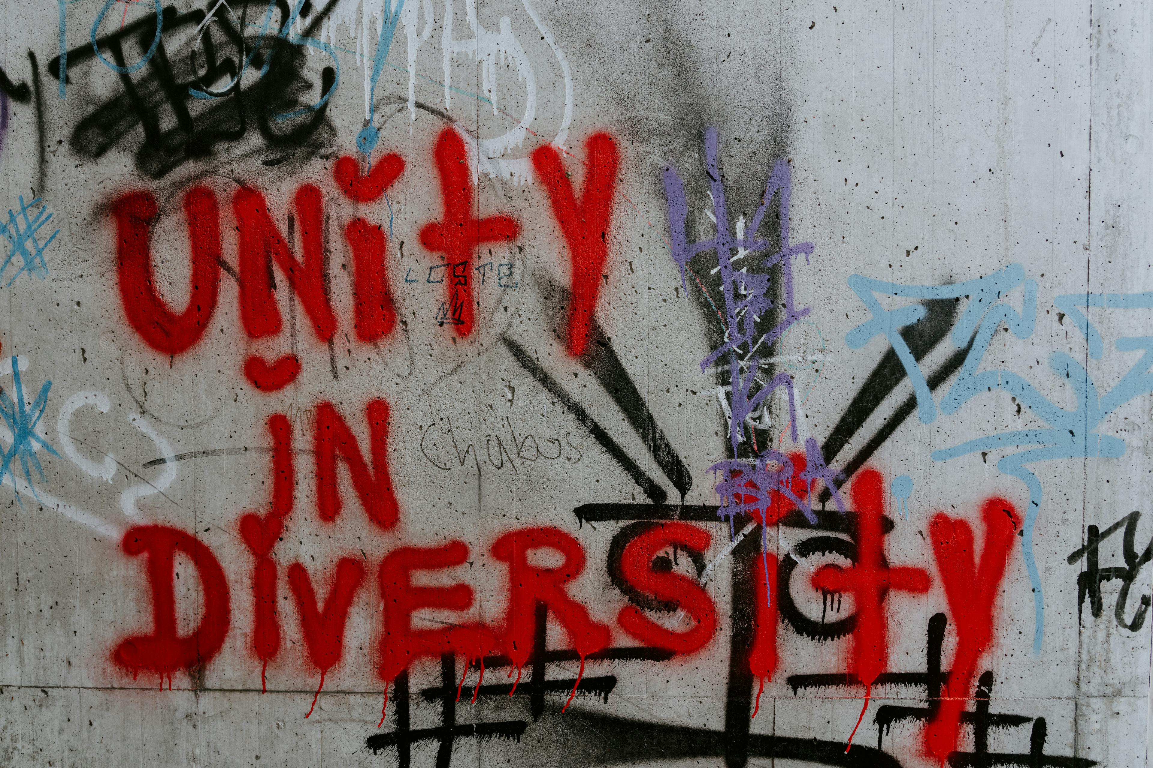 Cover Image for Unity in Diversity